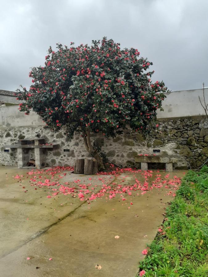 Basaltic Guest House Achadinha Dış mekan fotoğraf